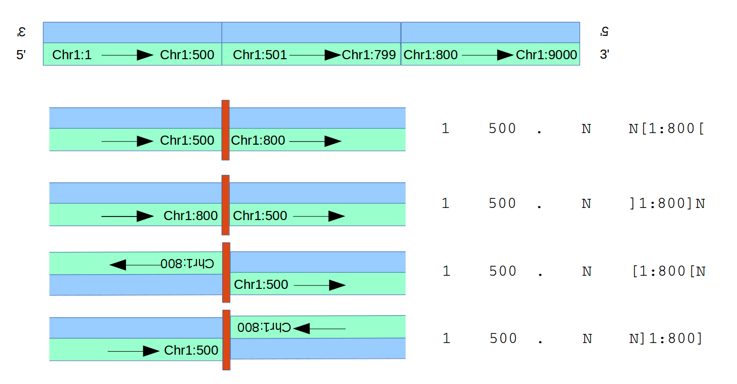 VCF Breakpoint meanings