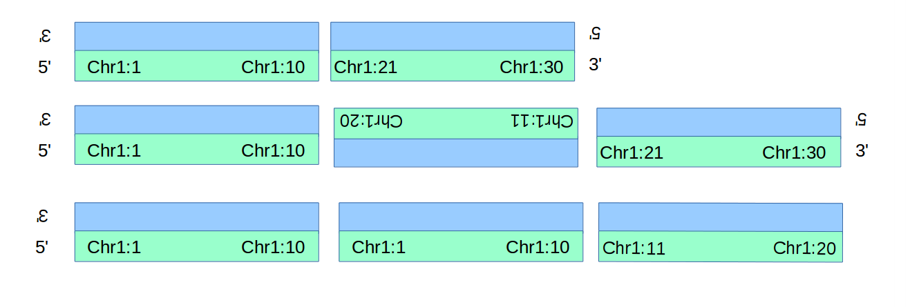 VCF Breakpoint meanings