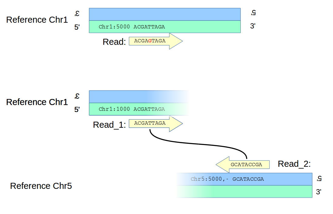 Mapping SNVs vs SVs